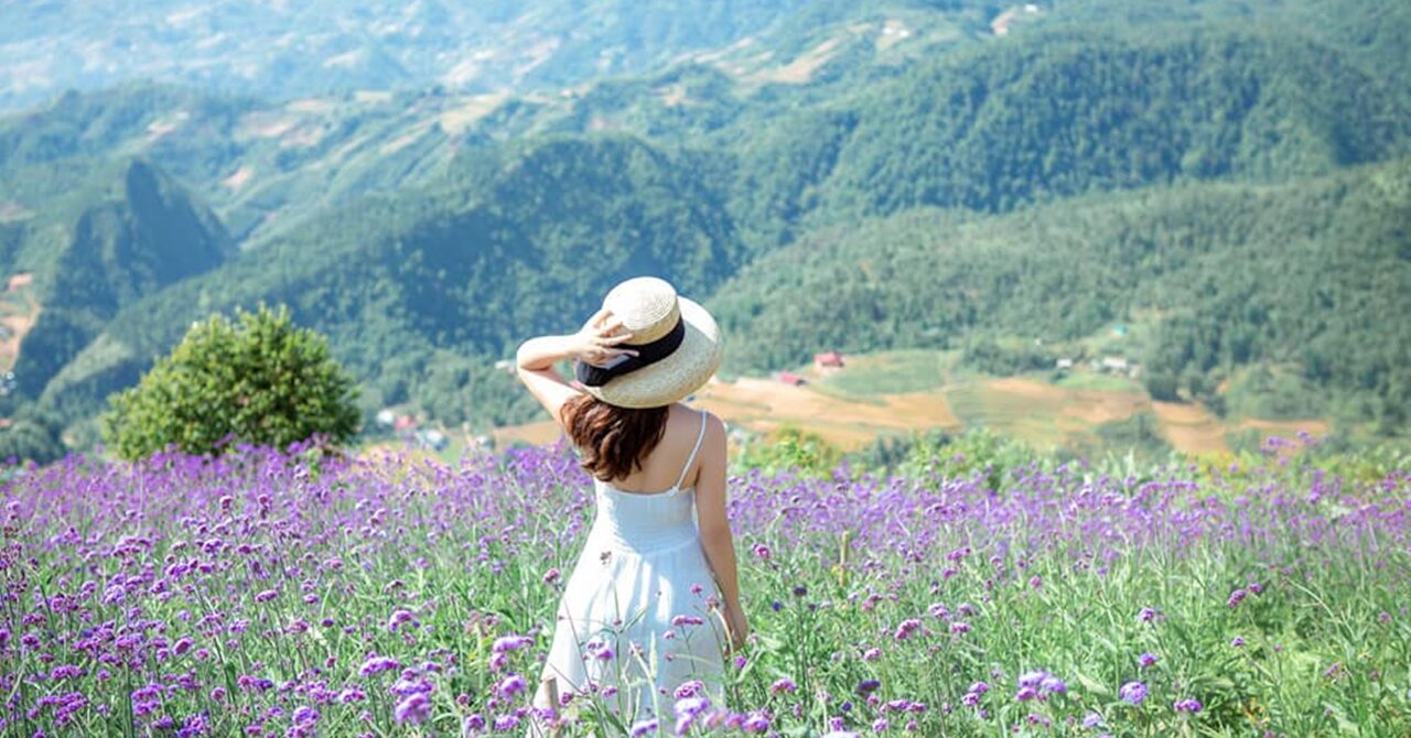 独身女性が『ひとりで生きていく幸せ』を見つけるヒント